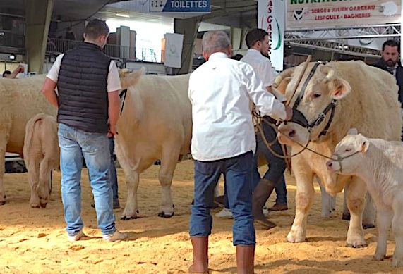 L’AUTRE SALON AGRICOLE - 80.000 personnes attendues à Tarbes pour une grande fête